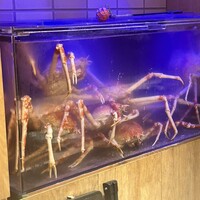 湘南沖地蟹専門店ふじ月 - 