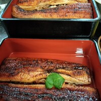 大衆鰻 うな吉 - 幡生/うなぎ | 食べログ