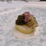 エクアトゥール - 