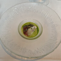 XEX TOKYO / Salvatore Cuomo Bros. - 