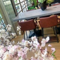セリュー - 