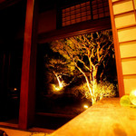 宮田邸 - 中庭には木のライトアップ