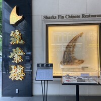 筑紫樓 銀座店 - 