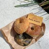 Palla Bagels