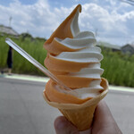 田川屋 - メロンのミックス３５０円