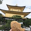 京餡菓子 だるま
