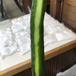 傳兵衛 - 
