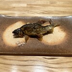 旬菜旬魚 たじま - 