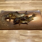 旬菜旬魚 たじま - 