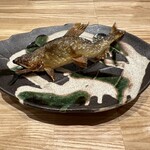 旬菜旬魚 たじま - 