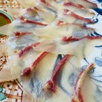 旬家 栄寿 - チョウザメ！薄造り