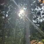 YAMANEKO Gerateria - 