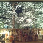 バーローライフ 0009 - 桜の季節