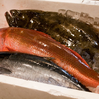 If you want to eat delicious and fresh fish, come to our store! !