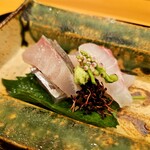 しゅん逢 紗々木 - 