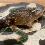 旬菜旬魚 たじま - 