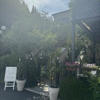 表参道バンブー - 