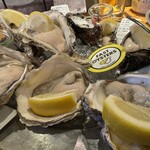 FAST OYSTERS 神楽坂店 - 