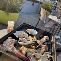 BLUE BIRDS ROOF TOP TERRACE - 大阪城を，眺めながらーーー✨