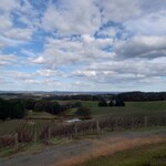 Pike & Joyce - ブドウ畑