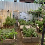 Chim By Siam Wisdom - 