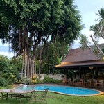 Chim By Siam Wisdom - 