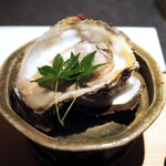 日本焼肉はせ川 別亭 - 【逸品】石川ヨコタ礁　天然岩牡蛎