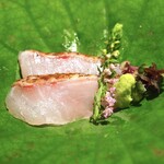 日本焼肉はせ川 別亭 - 【御造り　食べ比べ】長崎　対馬 紅瞳　のどぐろ