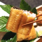 日本焼肉はせ川 別亭 - 北本養鰻場　鰻白焼き