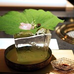 日本焼肉はせ川 別亭 - 【御造り　食べ比べ】長崎　対馬 紅瞳　のどぐろ