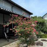 アルベルゴ アスペラ - お庭のサルスベリの木