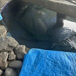 活魚料理 びんび家 - 