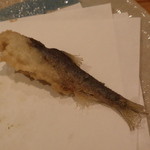 宇奈根 山中 - 稚鮎