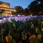 千秋公園売店 - 