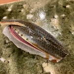 鮨桂太 - 子イワシ(//∇//)