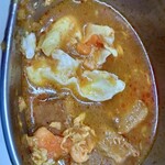 かれーの店 うどん  - スープかれーの中､少しアップ。