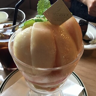 カフェティーノ マウントフジ コーヒーショップ_1