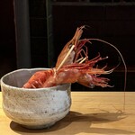 鮨 三心 - 追加のボタン海老