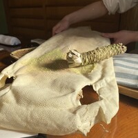 日本料理 梅林 - 