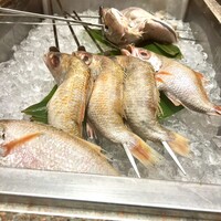 金目のどぐろ屋 赤羽店 - 今日ののどぐろちゃん