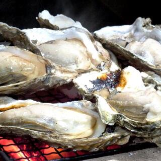 鮮度抜群！選りすぐりの牡蠣と旬の魚介をご堪能あれ