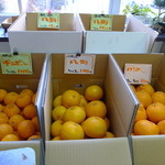 感謝の豆腐工房 - 地域でたくさんとれる柑橘類も勿論直売価格！
