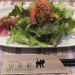 パスタの店　山猫軒 - サラダと前菜とのプレートです☆