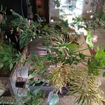 プティ　カフェ　トロン - 