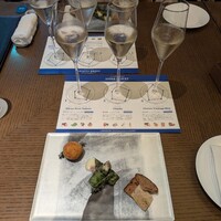 Bulls Tokyo - 