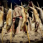 薩摩おでんと炉端焼つむぎ - 