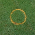 軽井沢72ゴルフ北コース - 