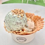 Down to Plant 六本木ヒルズ店 - 