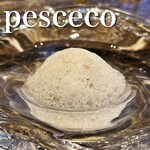 pesceco - 