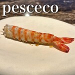 pesceco - 